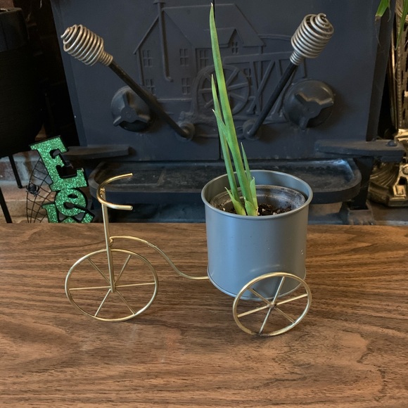 Cottagecore Bike Planter - Picture 1 of 6